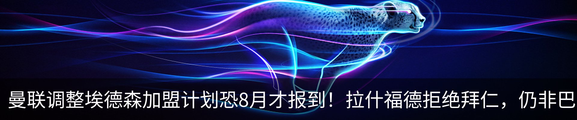 最新动态